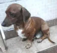 BIDU