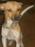Nina