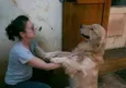 Nugo