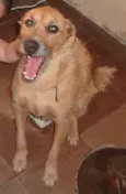 ARLINDO