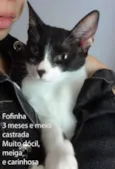 Fofinha