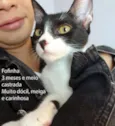 Fofinha