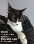 Fofinha