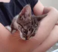 Twix