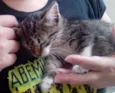 Twix