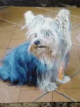 Ralf