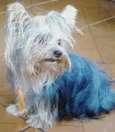 Ralf