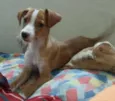 Molly