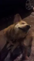 Não sabemos aiinda
