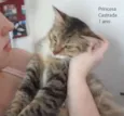 Princesa