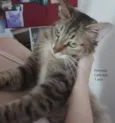 Princesa