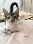 Penelope