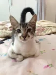 Penelope
