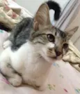 Penelope