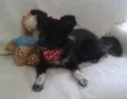 Nina