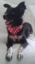 Nina