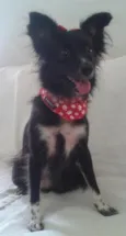 Nina