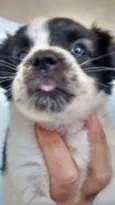 Felipe