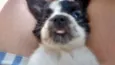 Felipe