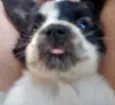 Felipe