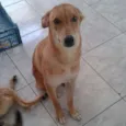 Paçoca