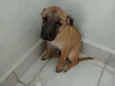 não tem