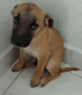 não tem