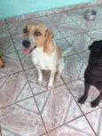 Loira e Pretinho