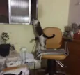 LAMPIÃO