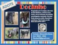DOCINHO