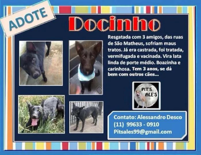 Cachorro ra a SRD idade 3 anos nome DOCINHO
