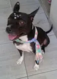 Belinha