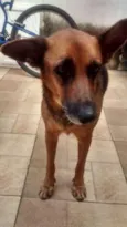 mel