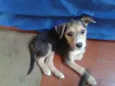 Jhony
