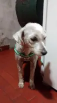 Nina