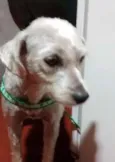 Nina