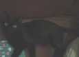 Dulce