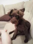 Lucky