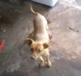 Tuãn