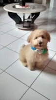 Beethoven
