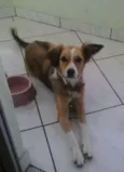 Baby