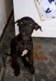 indefinido