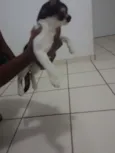 naila