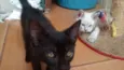 Flash, Fumaça, Pret