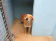 Desconhecido 