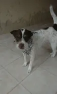 Tina