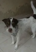 Tina