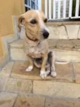 KADU