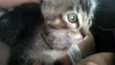 Pequena