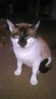 SAMUEL